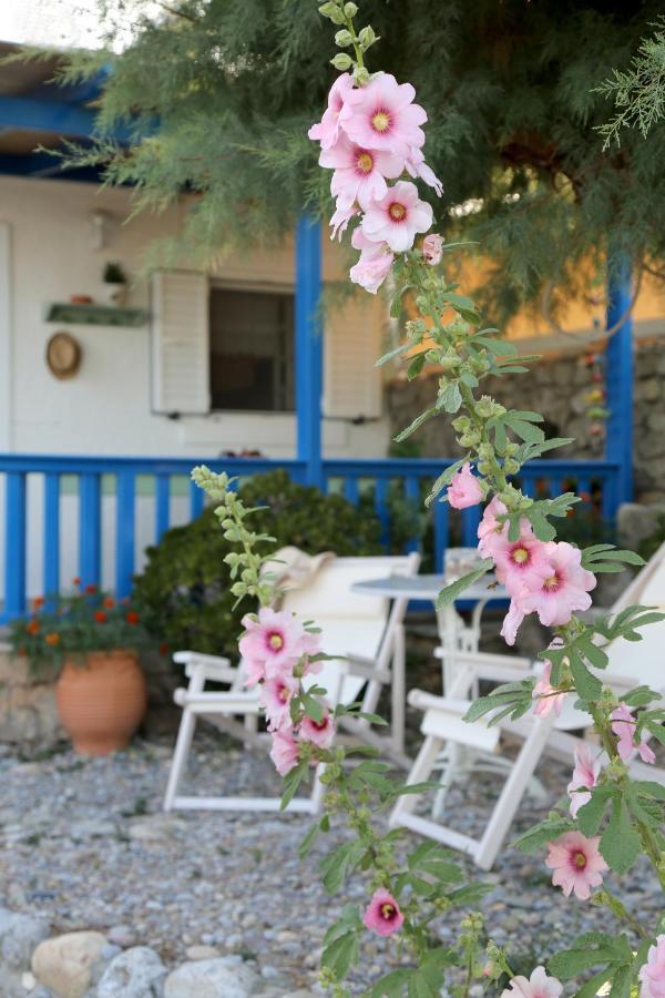 Villa Little Blue Káto Zákros Exterior foto